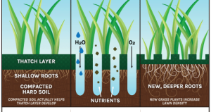 core aeration diagram