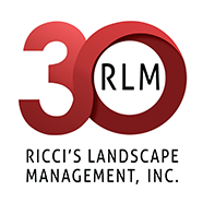 Ricci's Landscape Management