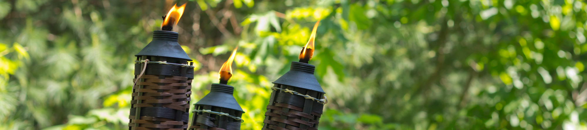 3 burning tiki torches to ward off mosquitoes