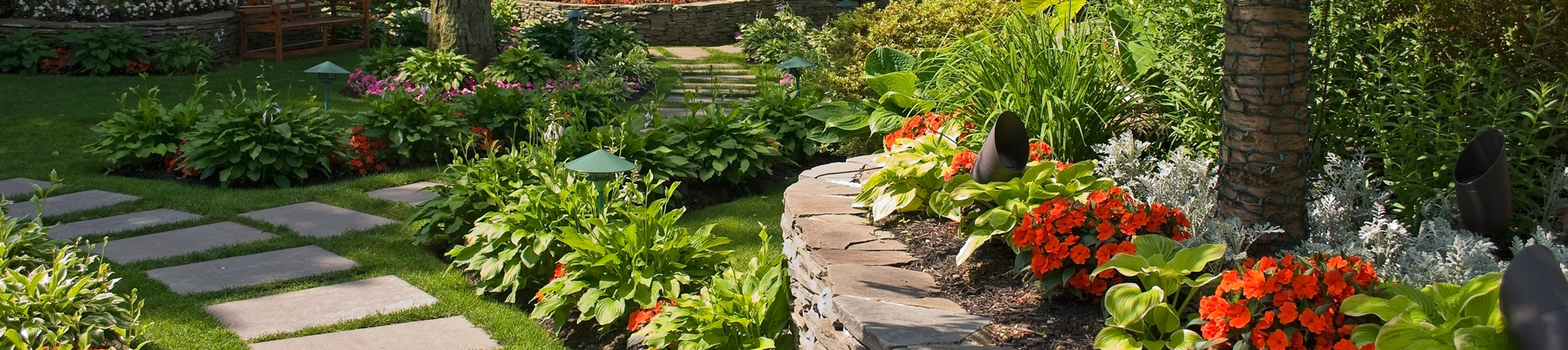 colorful backyard with landscaped path and orange petunias