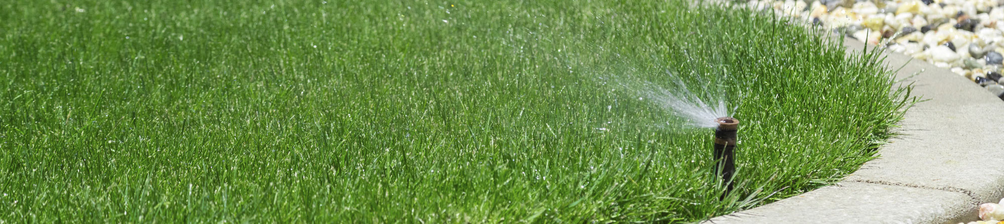 water spraying out of sprinkler onto green grass