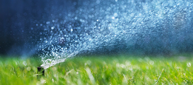 water coming out of a sprinkler
