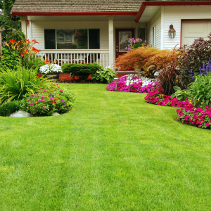 white and red house with pink flowers and green grass