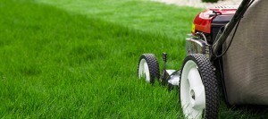 red lawn mower mowing grass