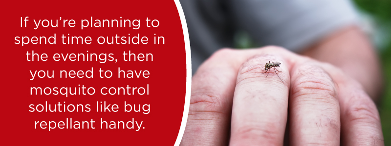 small mosquito on old man hand