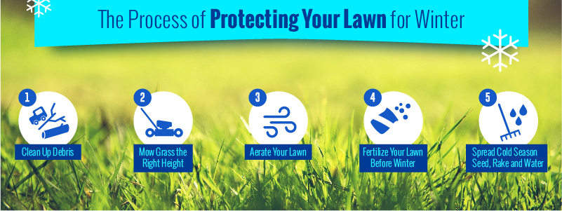 prepare your lawn for winter infographic