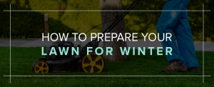 How to prepare your lawn for winter