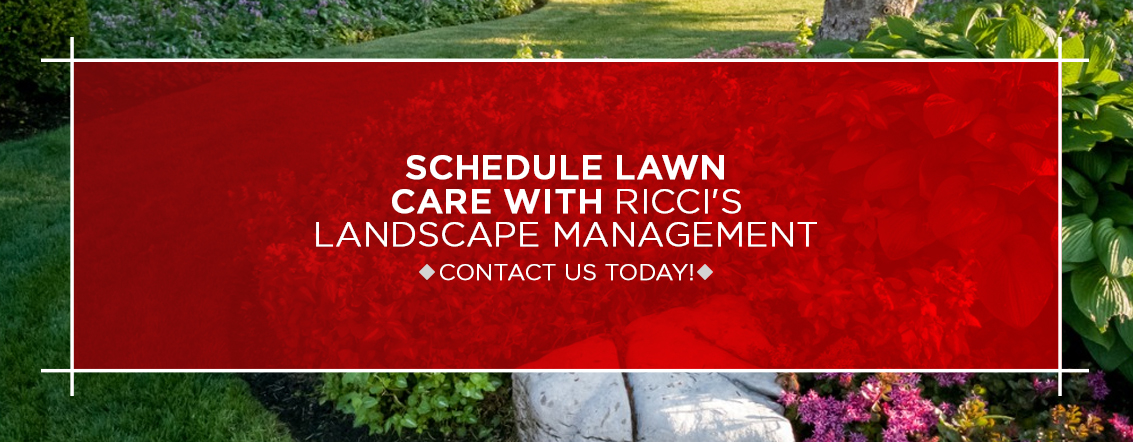 3-Schedule-Lawn-Care-With-Riccis-Landscape-Management