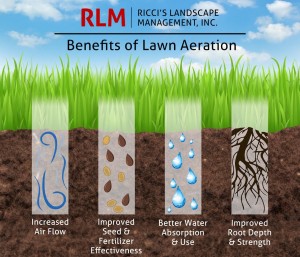 benefits of lawn aeration